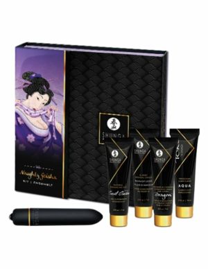 Naughty Geisha Kit  |   Travel Ready Sex Toys No Color