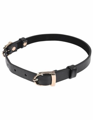 S&M Double Buckle Day Collar  |   Fetishwear Bondage Black/Gold